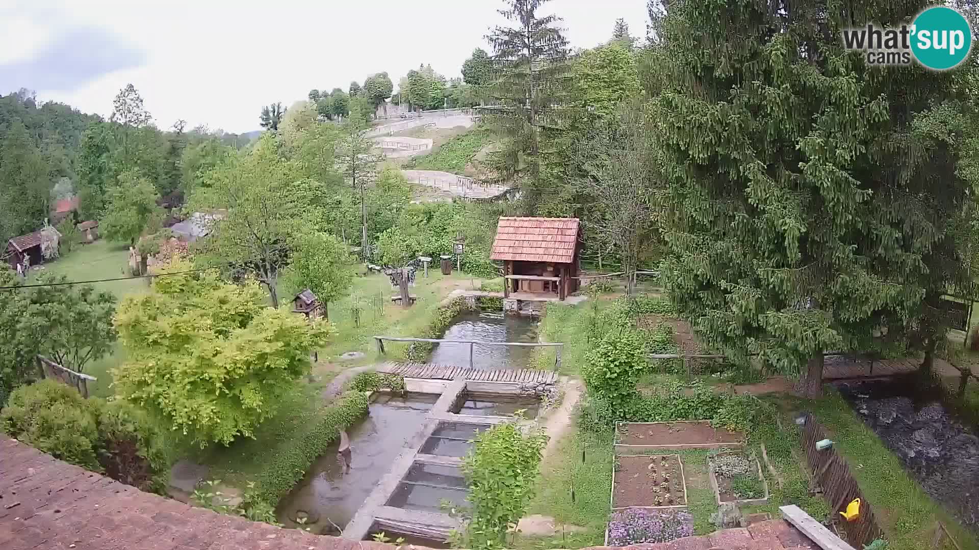 Spletna kamera v živo Rastoke – reka Slunjčica – Hrvaška