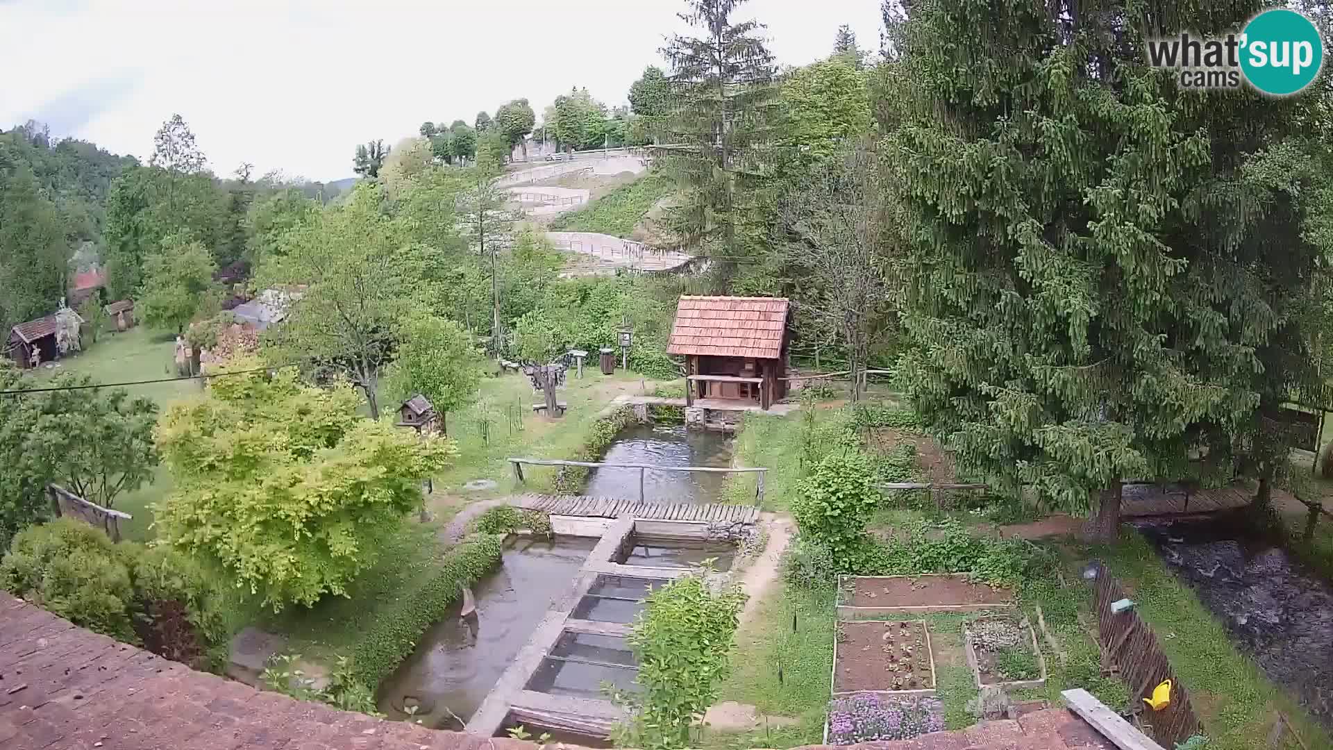 Spletna kamera v živo Rastoke – reka Slunjčica – Hrvaška
