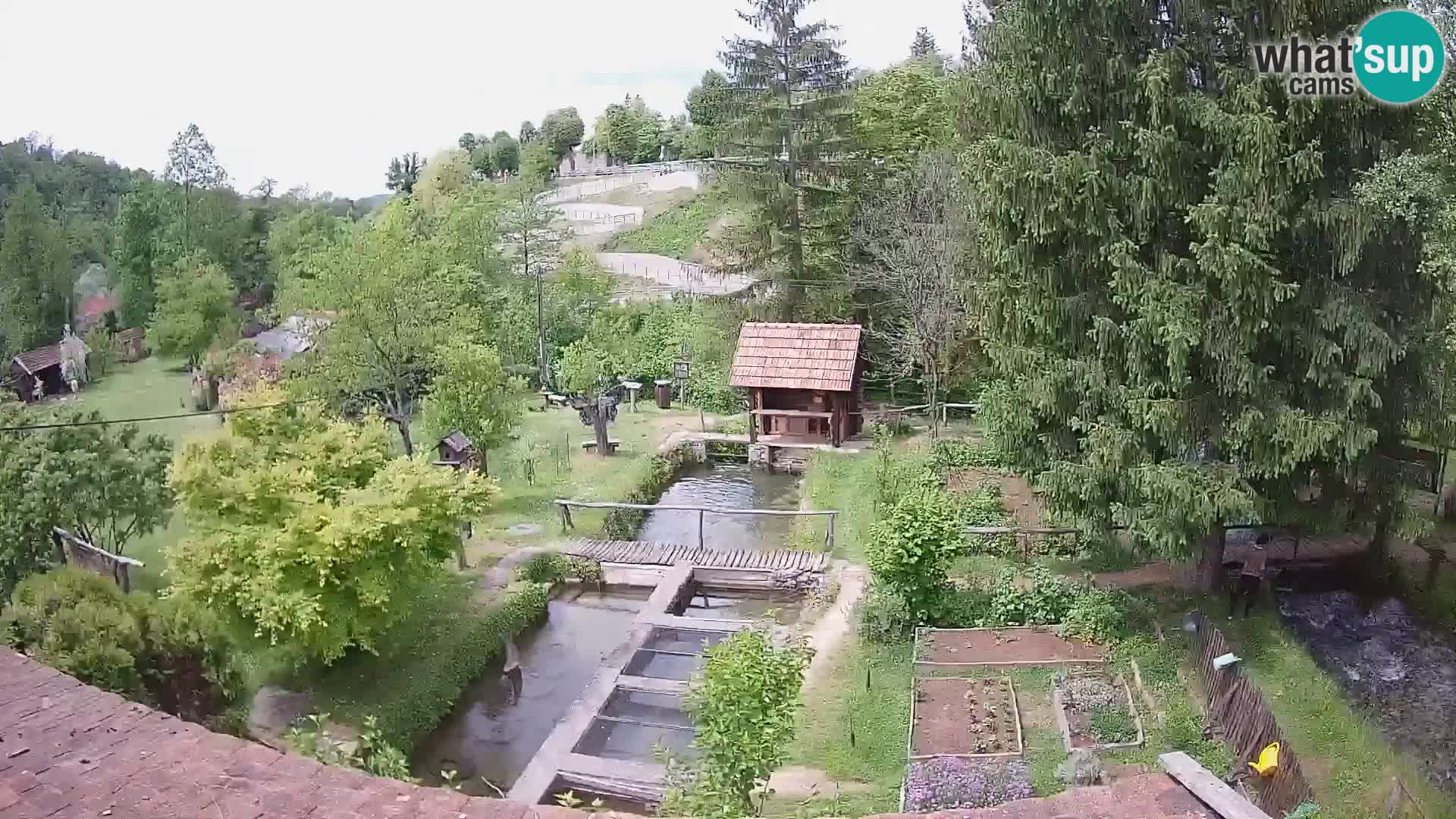 Live-Webcam Rastoke – Fluss Slunjčica – Kroatien