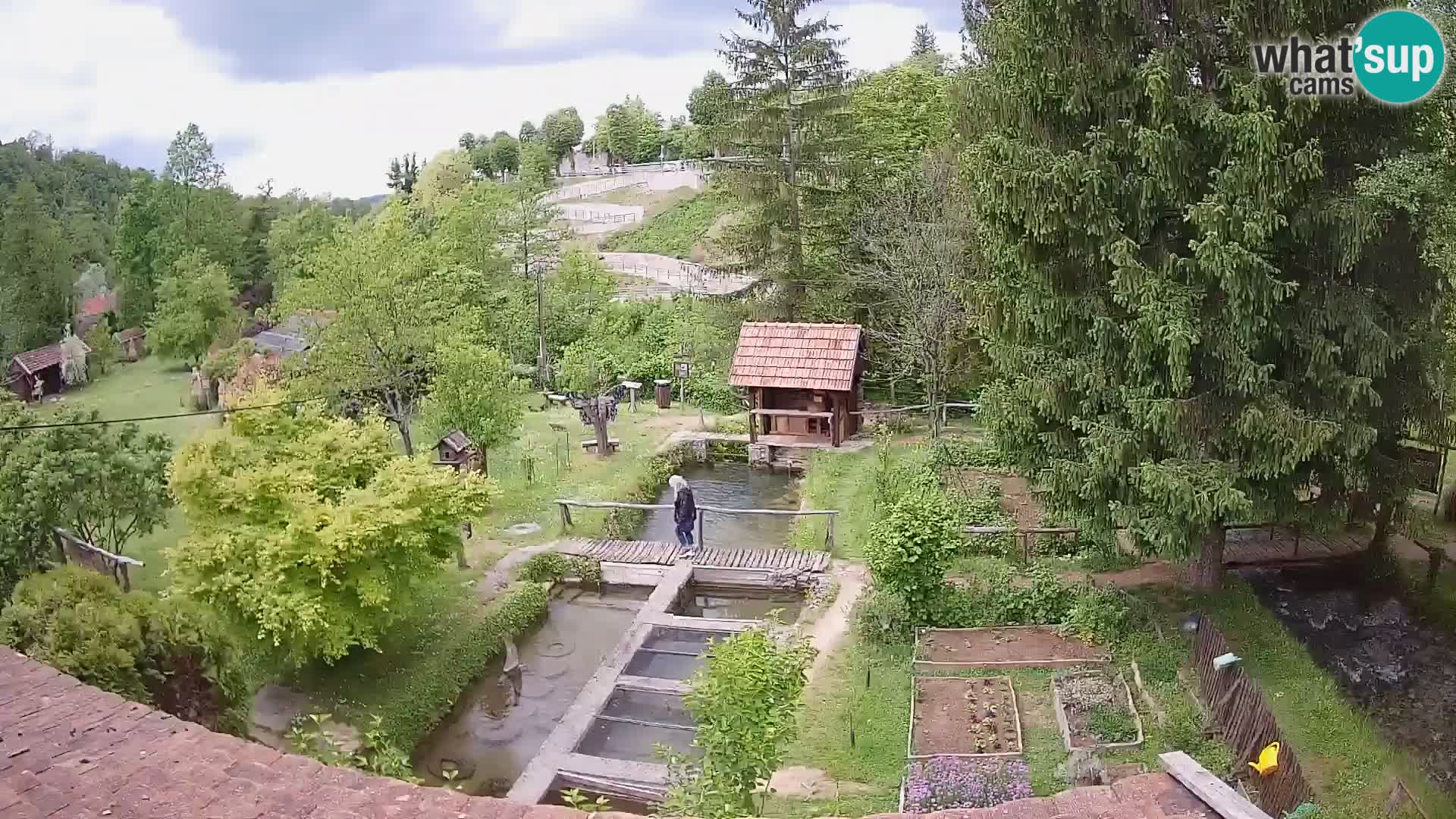 Spletna kamera v živo Rastoke – reka Slunjčica – Hrvaška