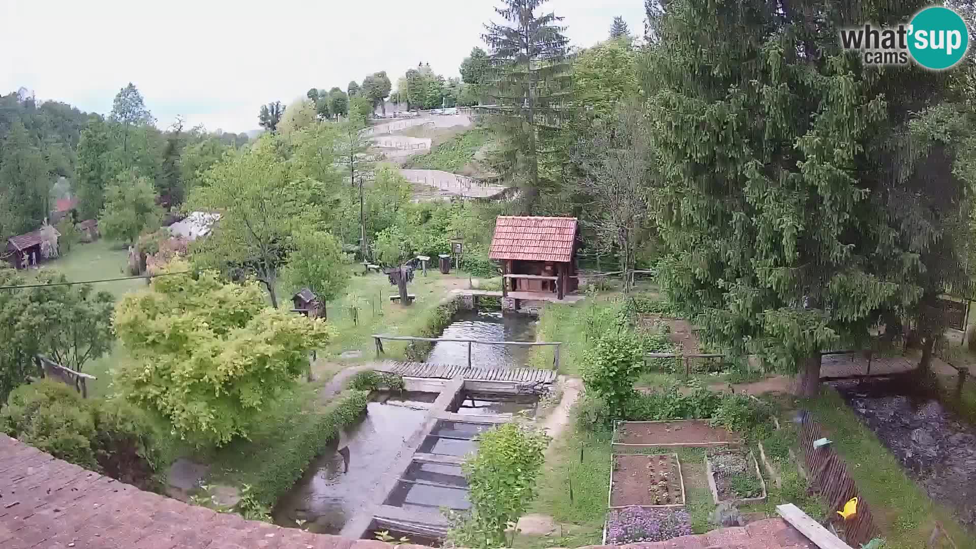 Live webcam Rastoke – river Slunjčica – Croatia