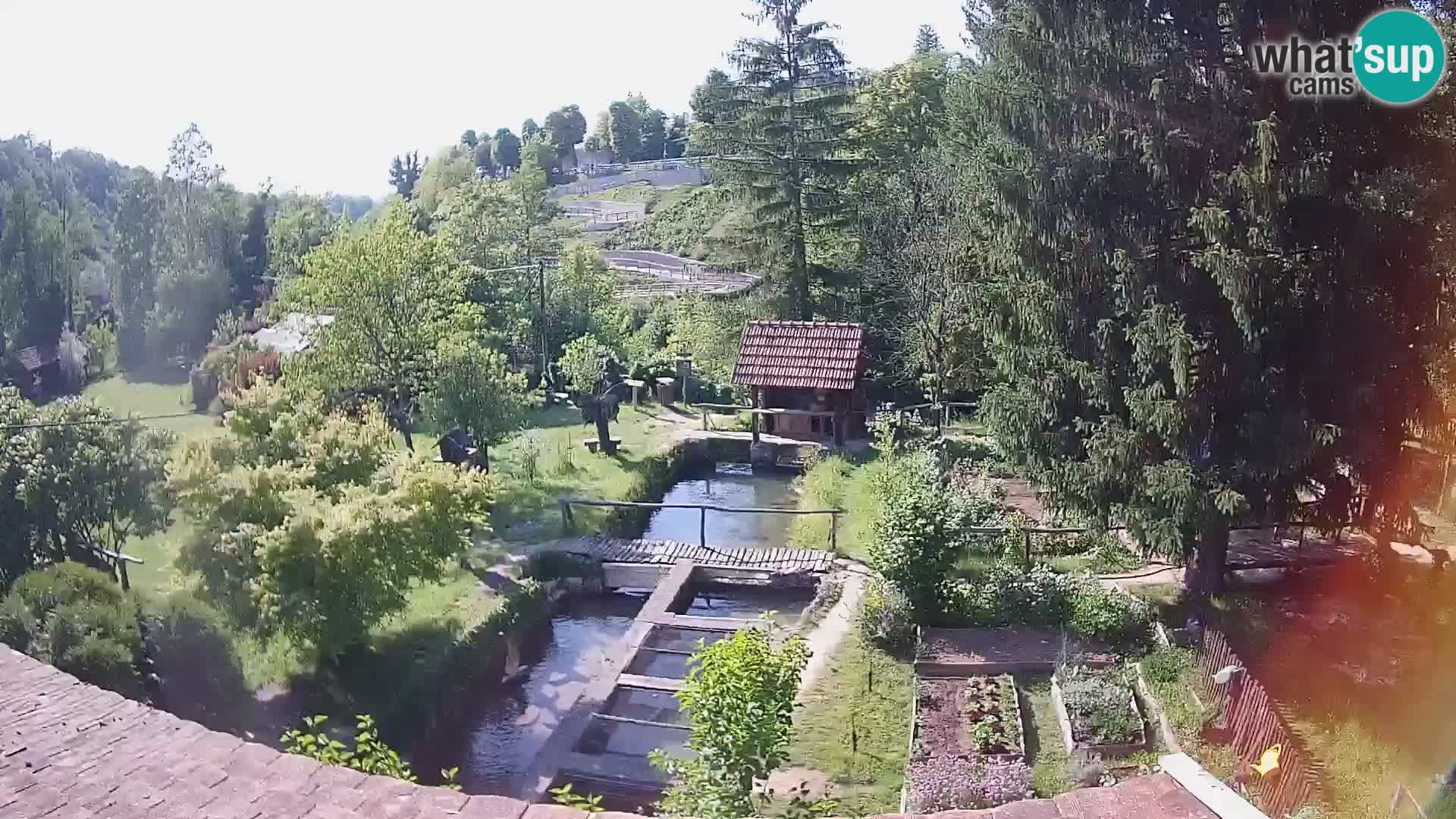 Live webcam Rastoke – river Slunjčica – Croatia