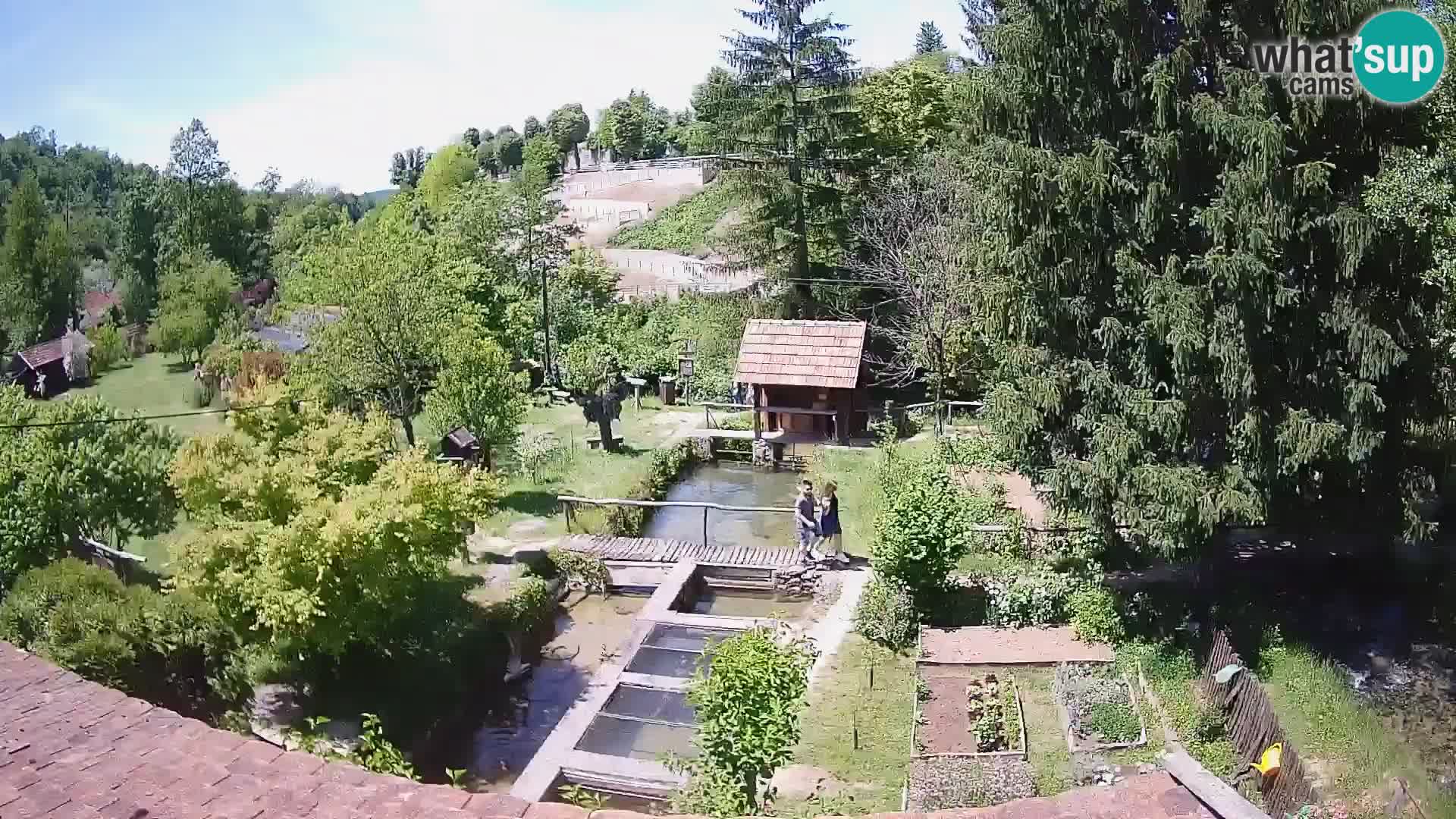 Live-Webcam Rastoke – Fluss Slunjčica – Kroatien