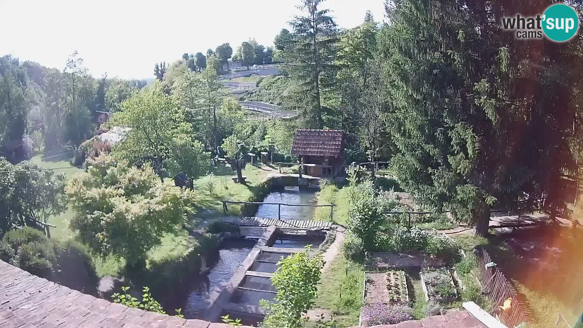 Live-Webcam Rastoke – Fluss Slunjčica – Kroatien