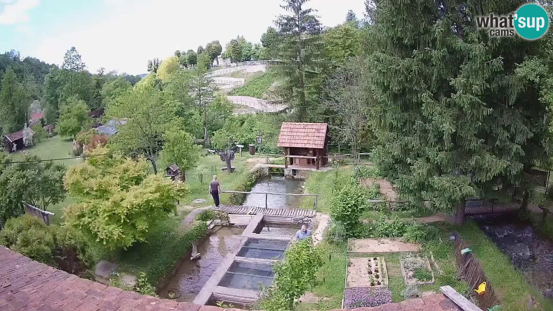 Live-Webcam Rastoke – Fluss Slunjčica – Kroatien
