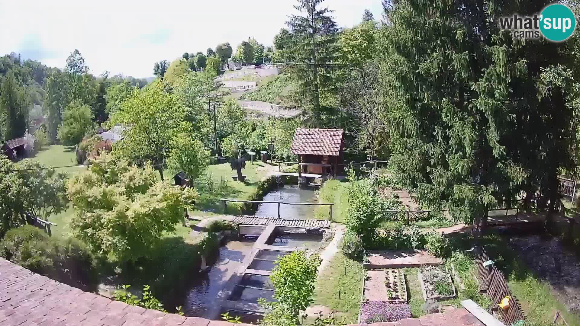 Webcam en direct Rastoke – rivière Slunjčica – Croatie