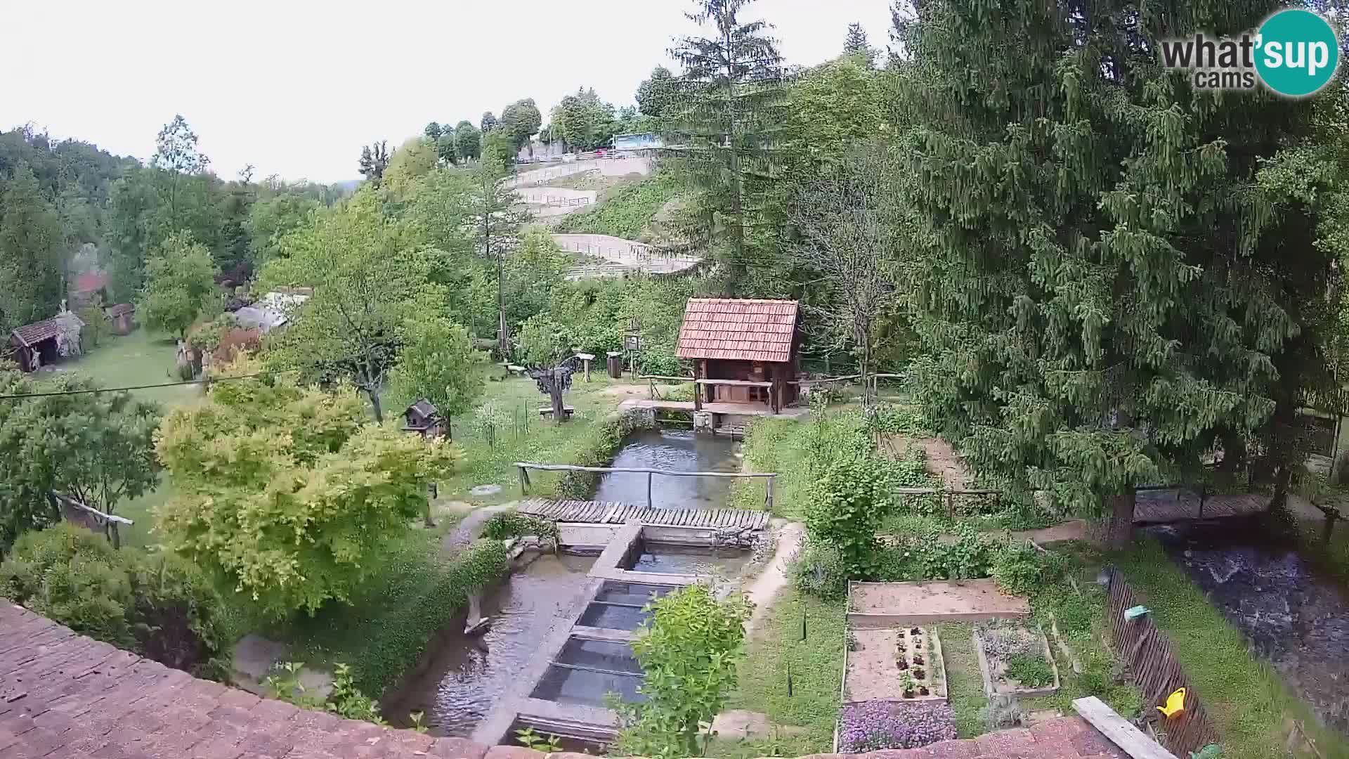 Live webcam Rastoke – river Slunjčica – Croatia