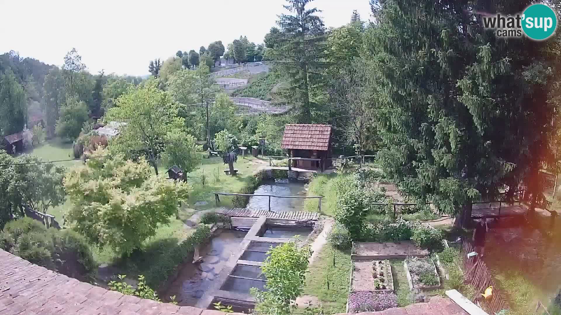 Spletna kamera v živo Rastoke – reka Slunjčica – Hrvaška