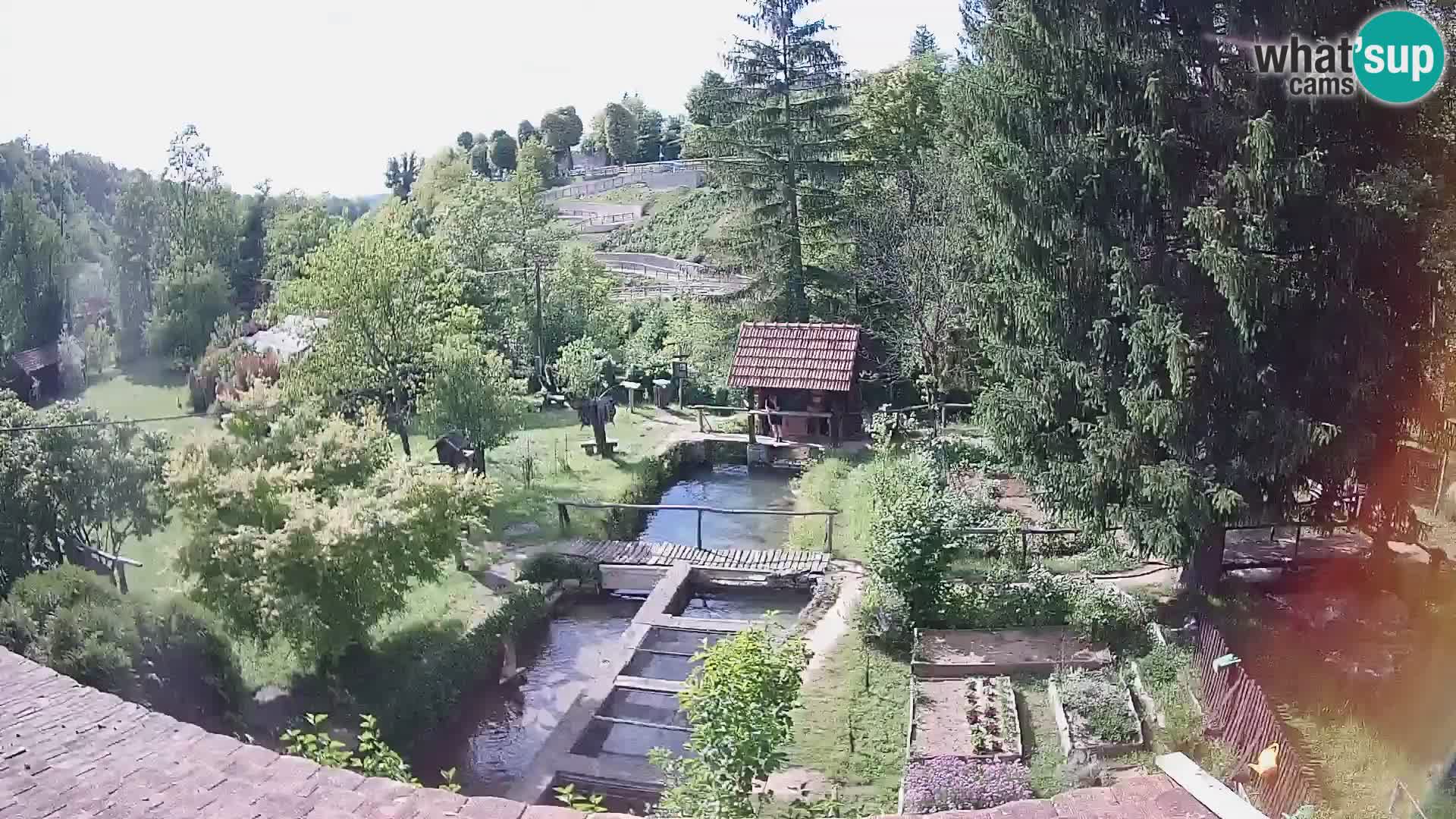 Spletna kamera v živo Rastoke – reka Slunjčica – Hrvaška