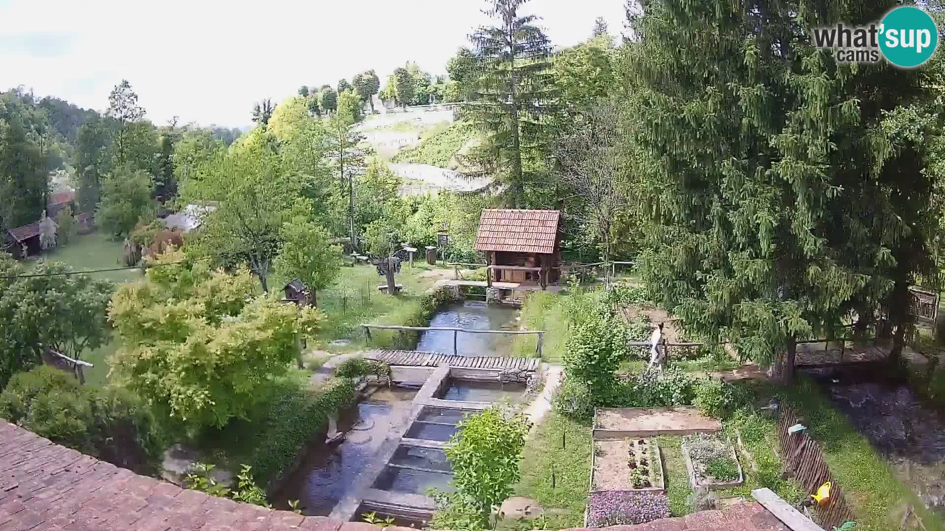 Web kamera uživo Rastoke – rijeka Slunjčica – Hrvatska