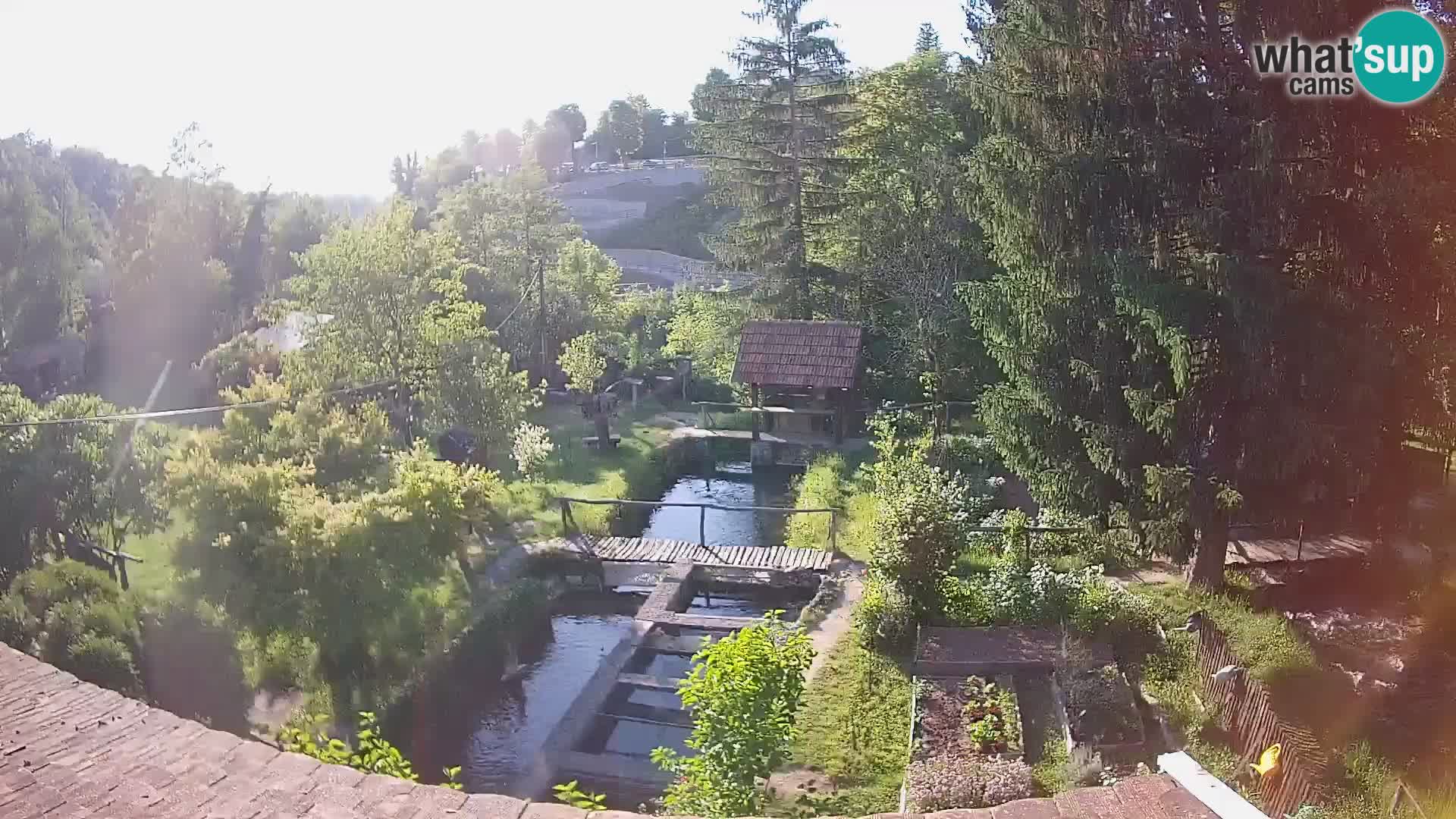 Live webcam Rastoke – fiume Slunjčica – Croazia