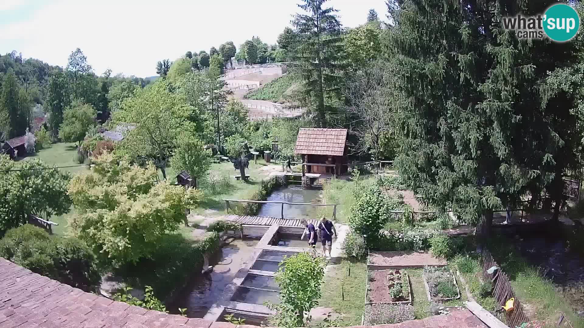 Live-Webcam Rastoke – Fluss Slunjčica – Kroatien