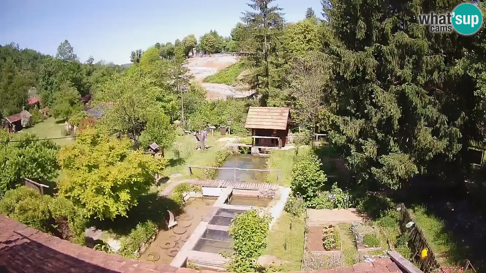 Cámara web en vivo Rastoke – río Slunjčica – Croacia