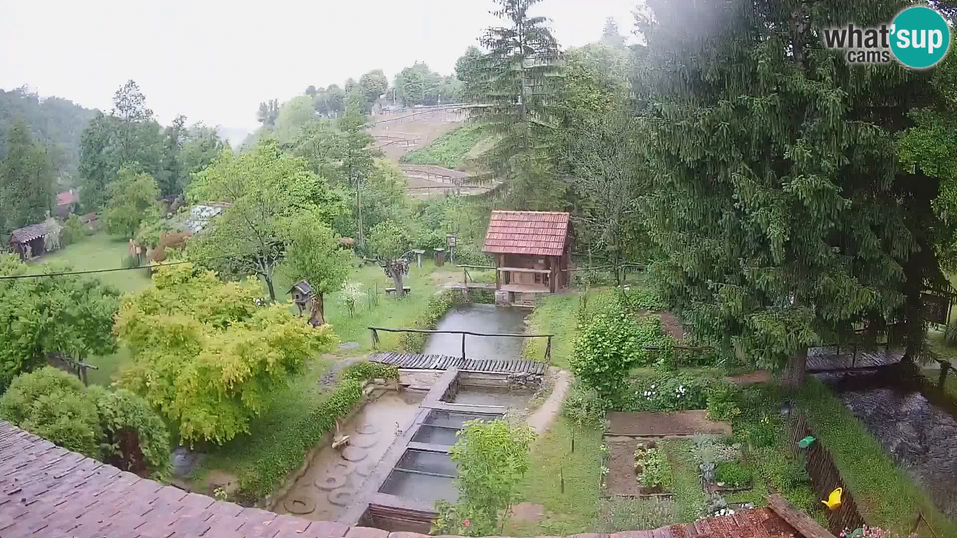 Spletna kamera v živo Rastoke – reka Slunjčica – Hrvaška