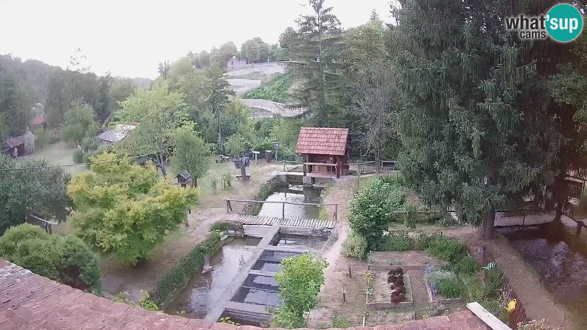 Live webcam Rastoke – river Slunjčica – Croatia