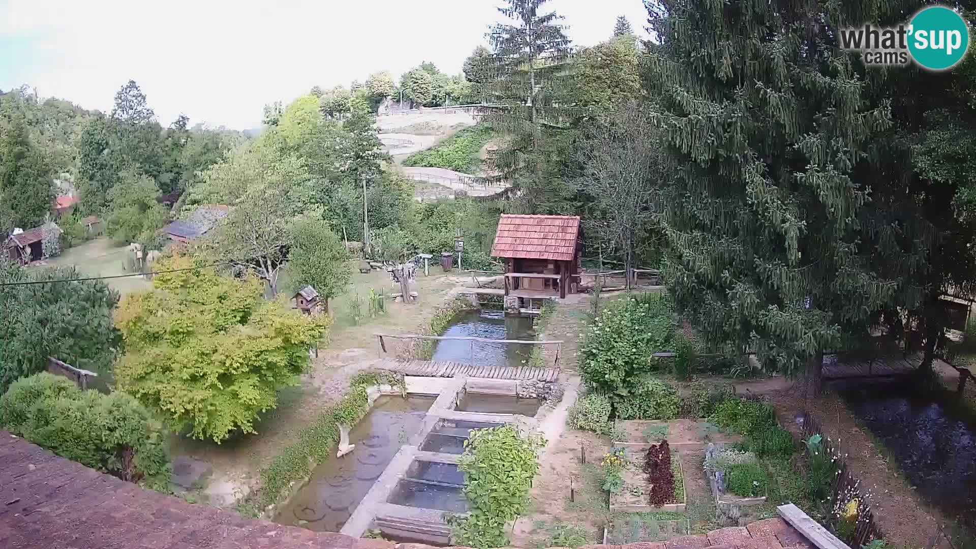 Live webcam Rastoke – river Slunjčica – Croatia