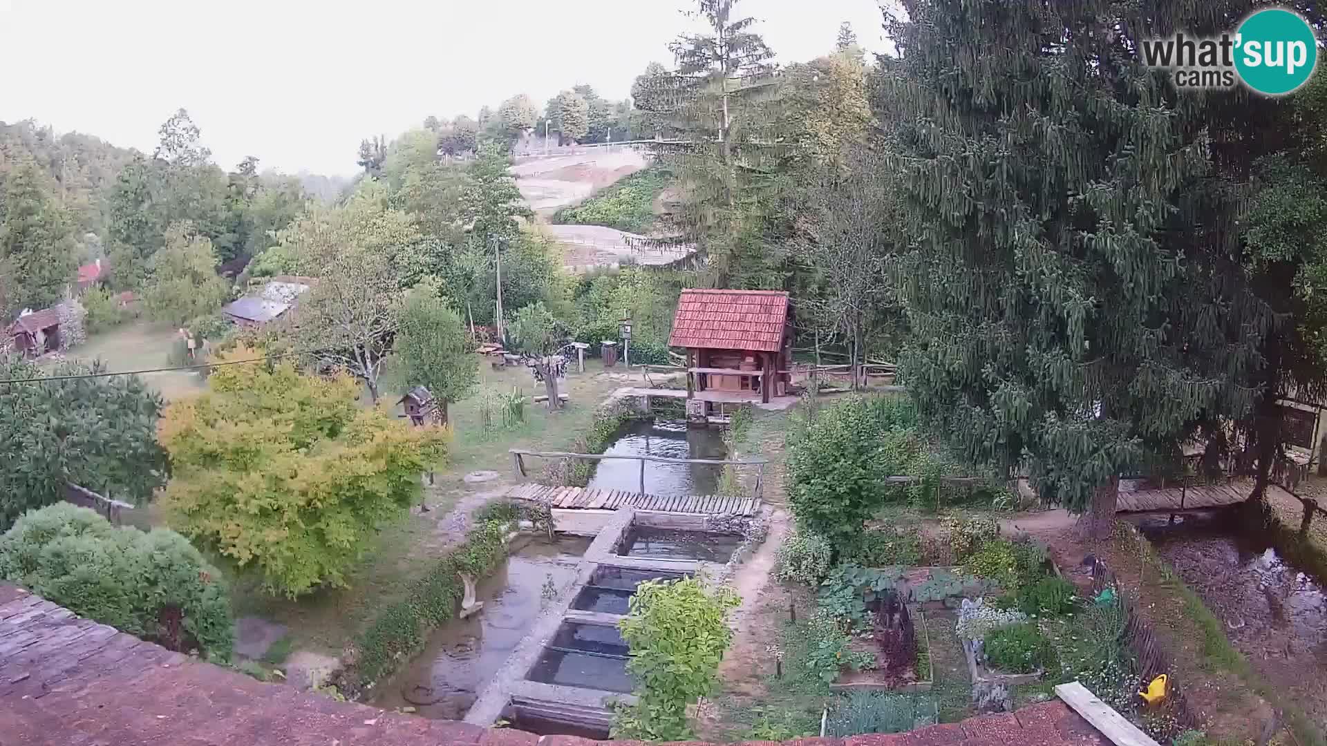 Live webcam Rastoke – river Slunjčica – Croatia
