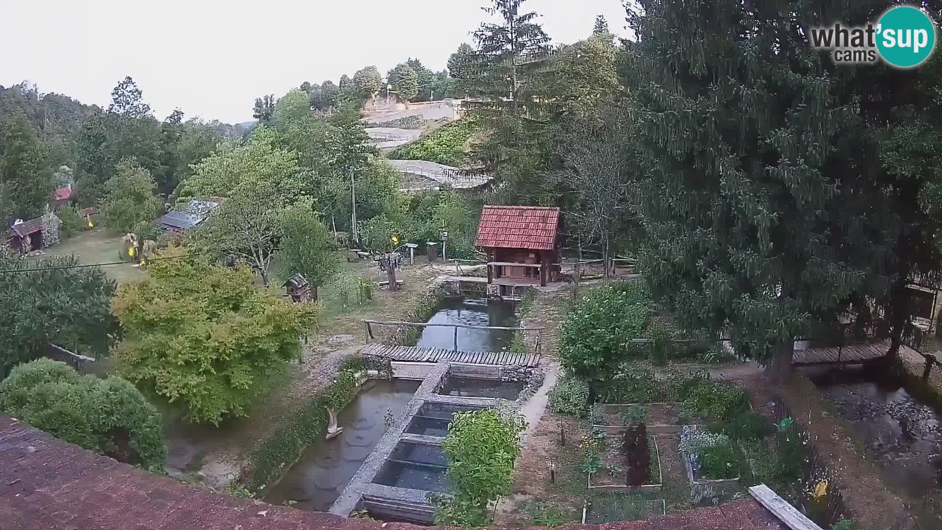 Live-Webcam Rastoke – Fluss Slunjčica – Kroatien