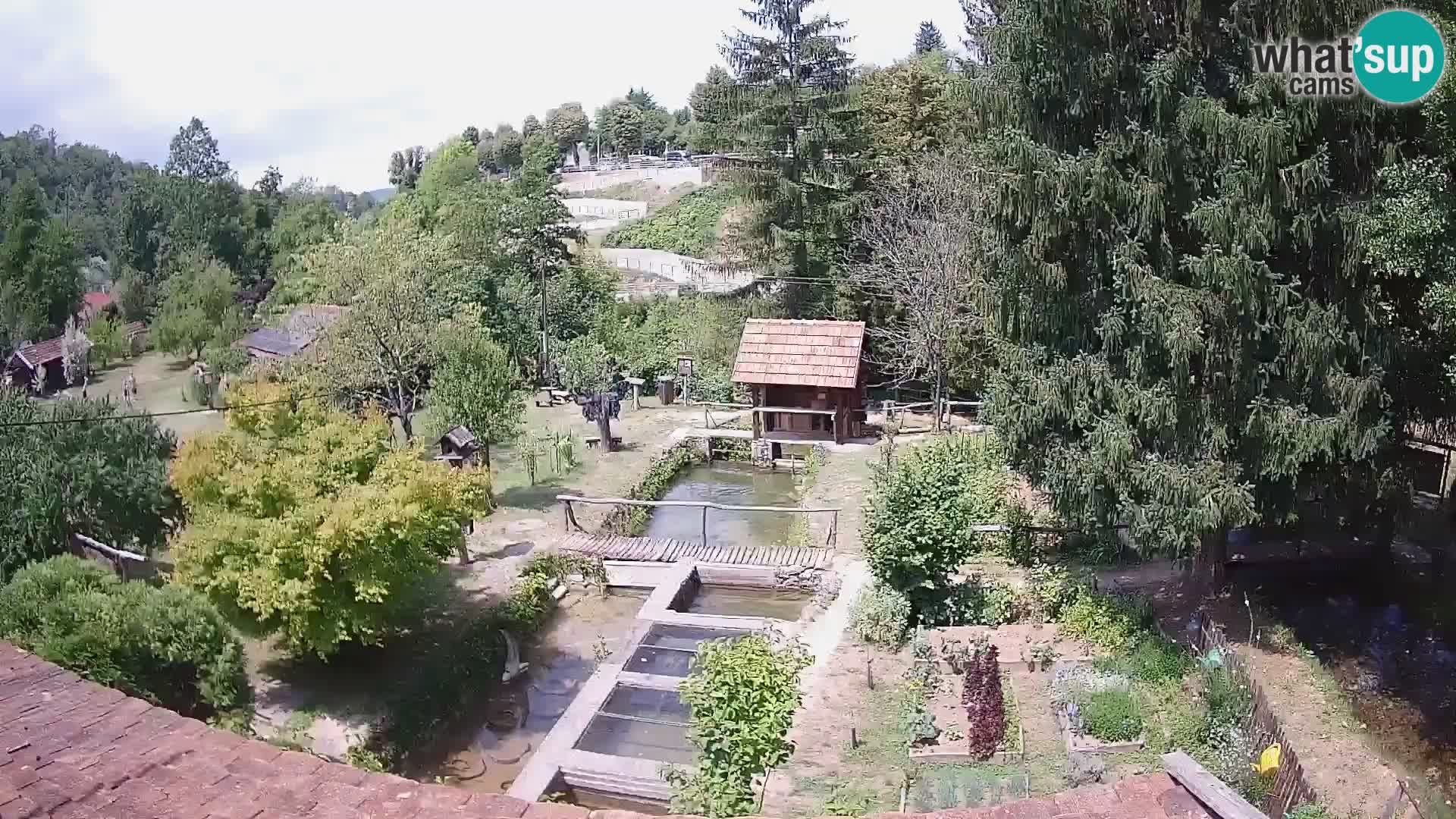 Spletna kamera v živo Rastoke – reka Slunjčica – Hrvaška