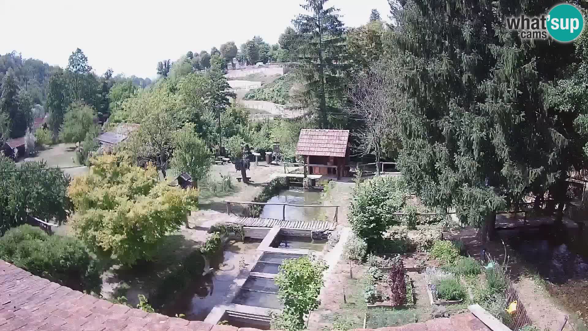 Web kamera uživo Rastoke – rijeka Slunjčica – Hrvatska