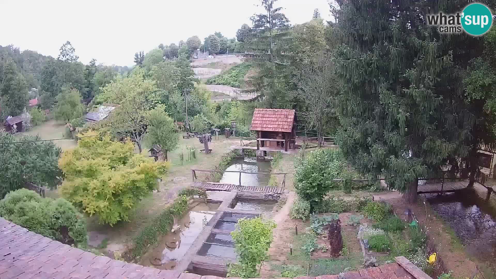 Spletna kamera v živo Rastoke – reka Slunjčica – Hrvaška