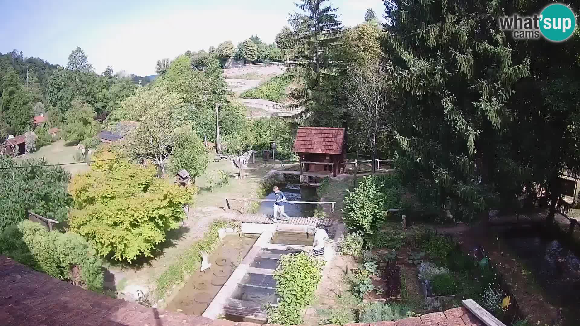 Spletna kamera v živo Rastoke – reka Slunjčica – Hrvaška