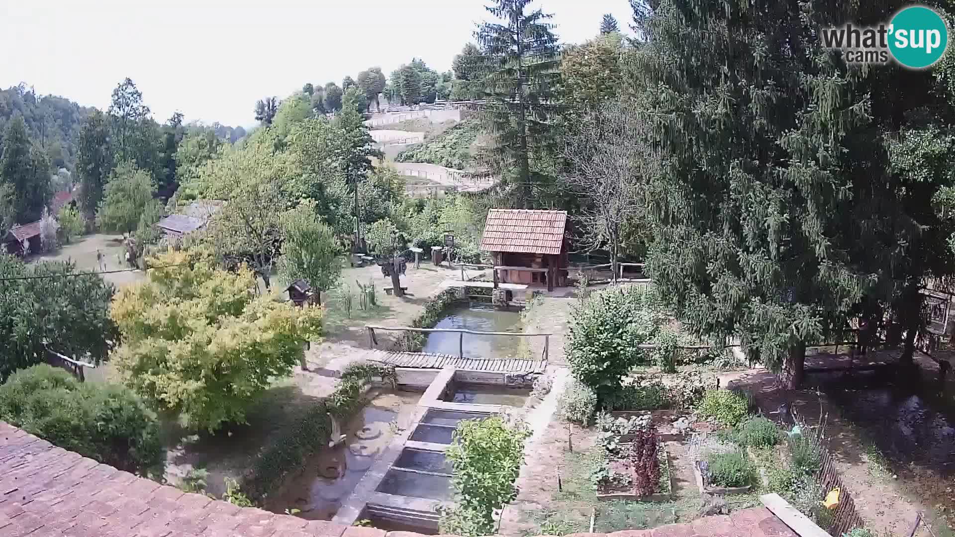 Live-Webcam Rastoke – Fluss Slunjčica – Kroatien