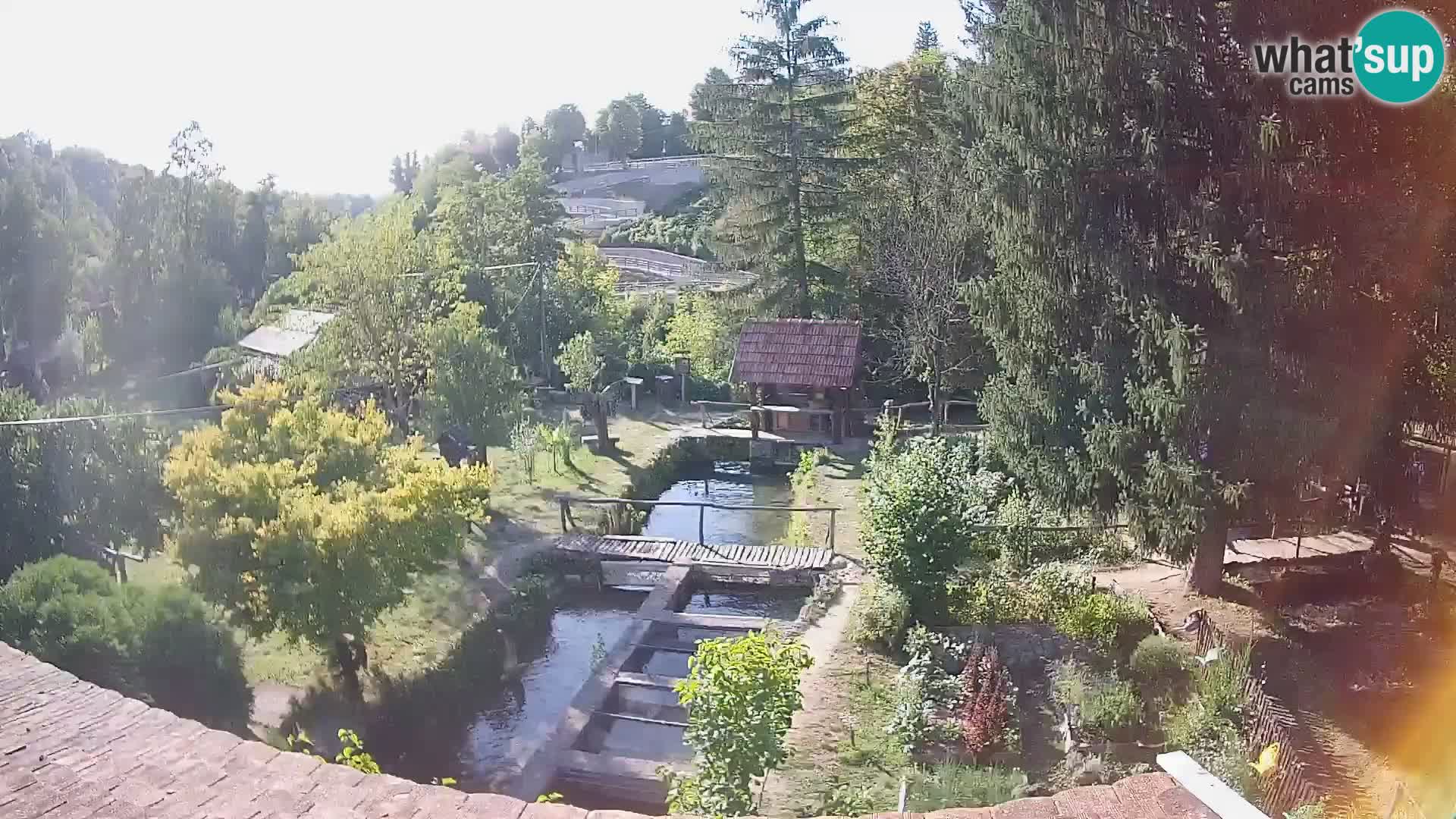 Live-Webcam Rastoke – Fluss Slunjčica – Kroatien