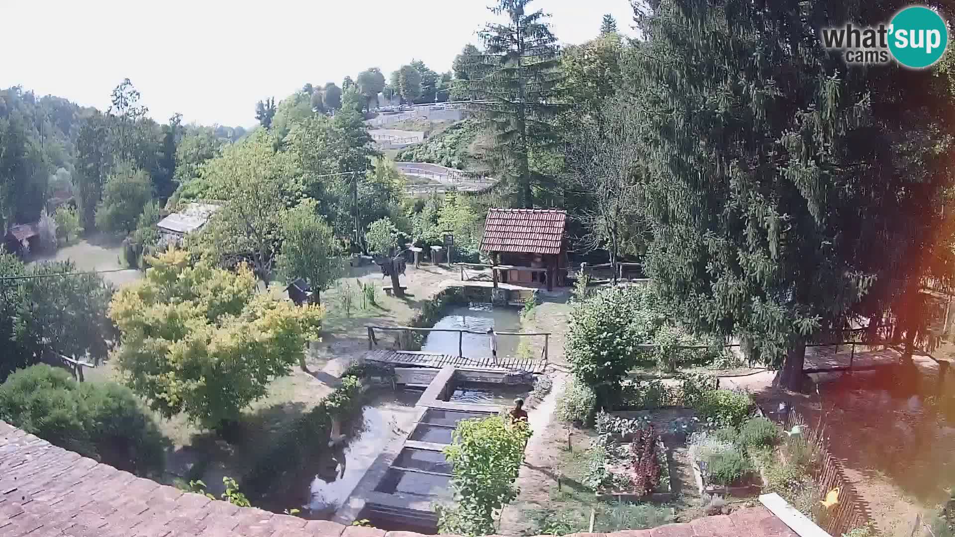 Live webcam Rastoke – river Slunjčica – Croatia