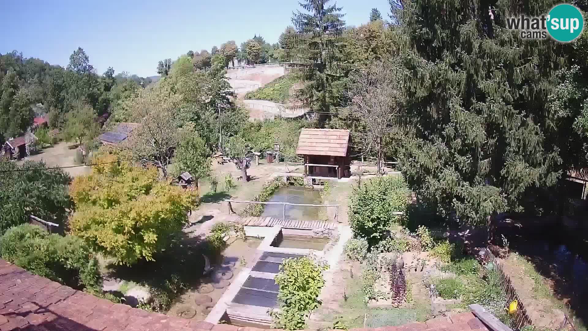 Live-Webcam Rastoke – Fluss Slunjčica – Kroatien