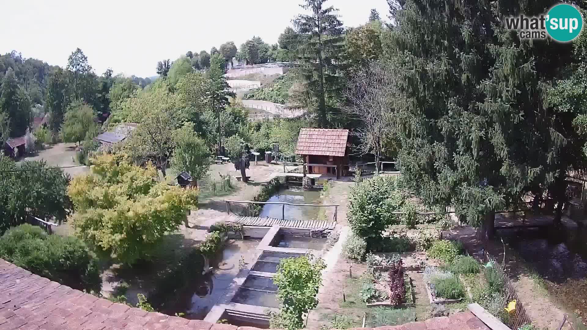 Live-Webcam Rastoke – Fluss Slunjčica – Kroatien