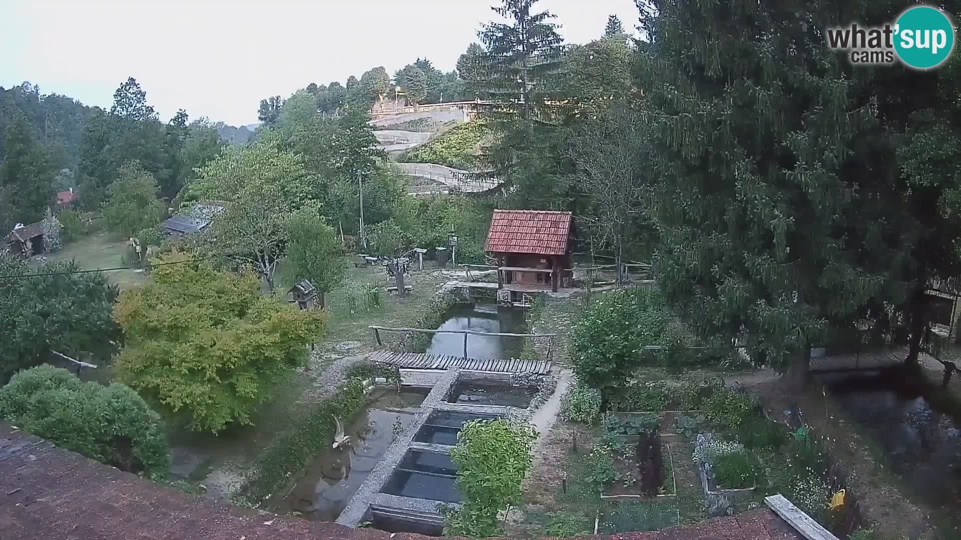 Spletna kamera v živo Rastoke – reka Slunjčica – Hrvaška