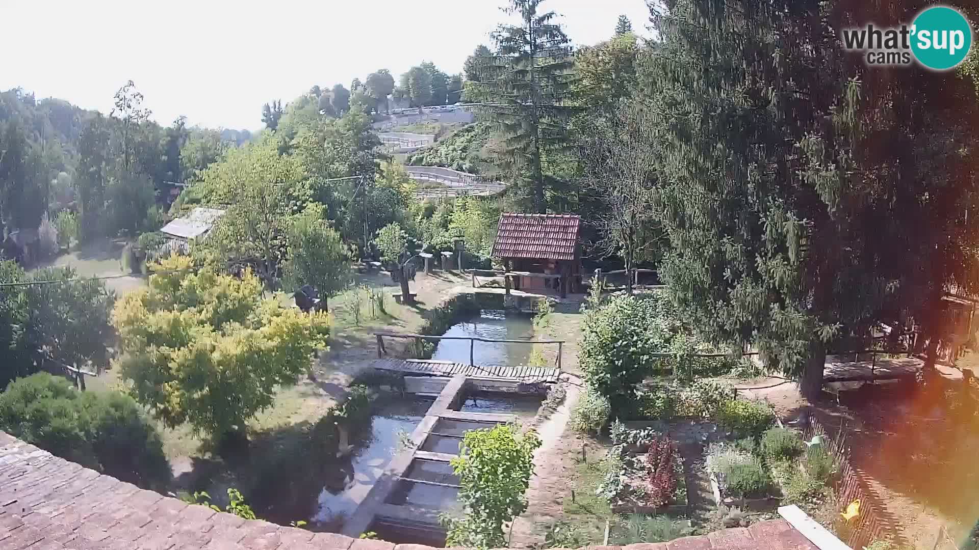 Spletna kamera v živo Rastoke – reka Slunjčica – Hrvaška