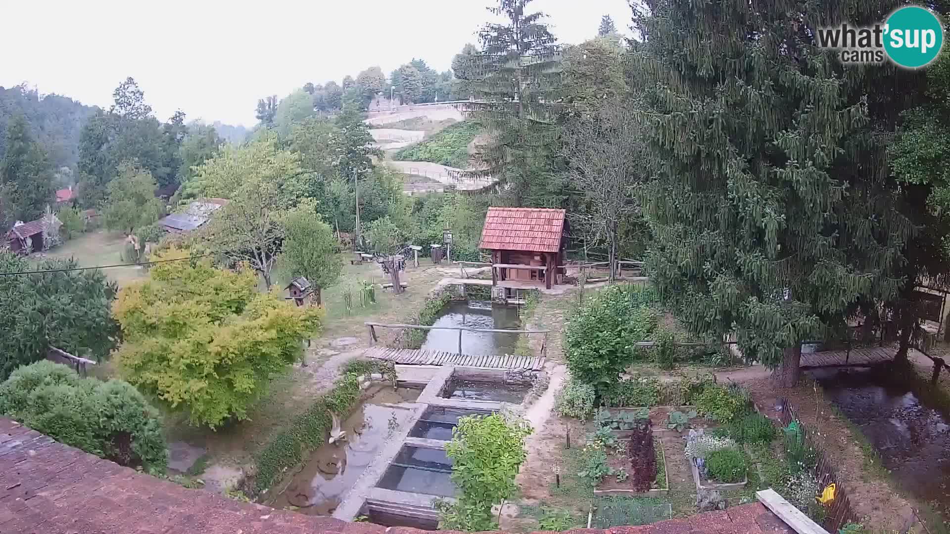 Webcam en direct Rastoke – rivière Slunjčica – Croatie