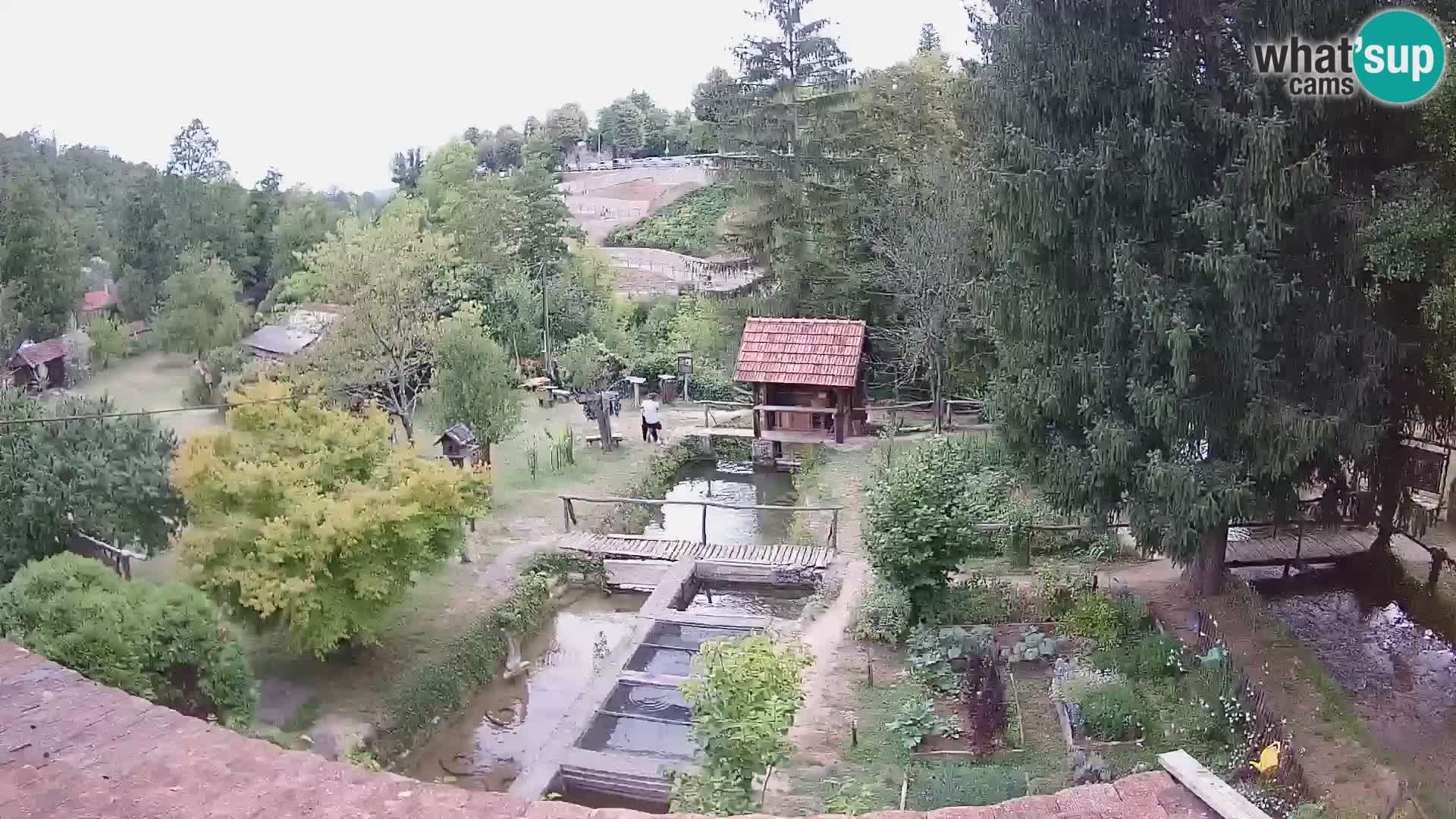 Spletna kamera v živo Rastoke – reka Slunjčica – Hrvaška