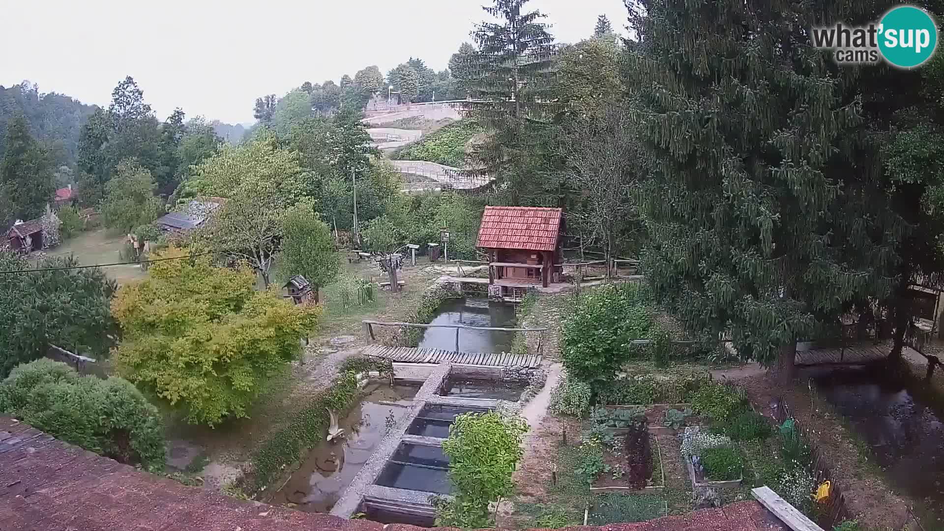 Webcam en direct Rastoke – rivière Slunjčica – Croatie
