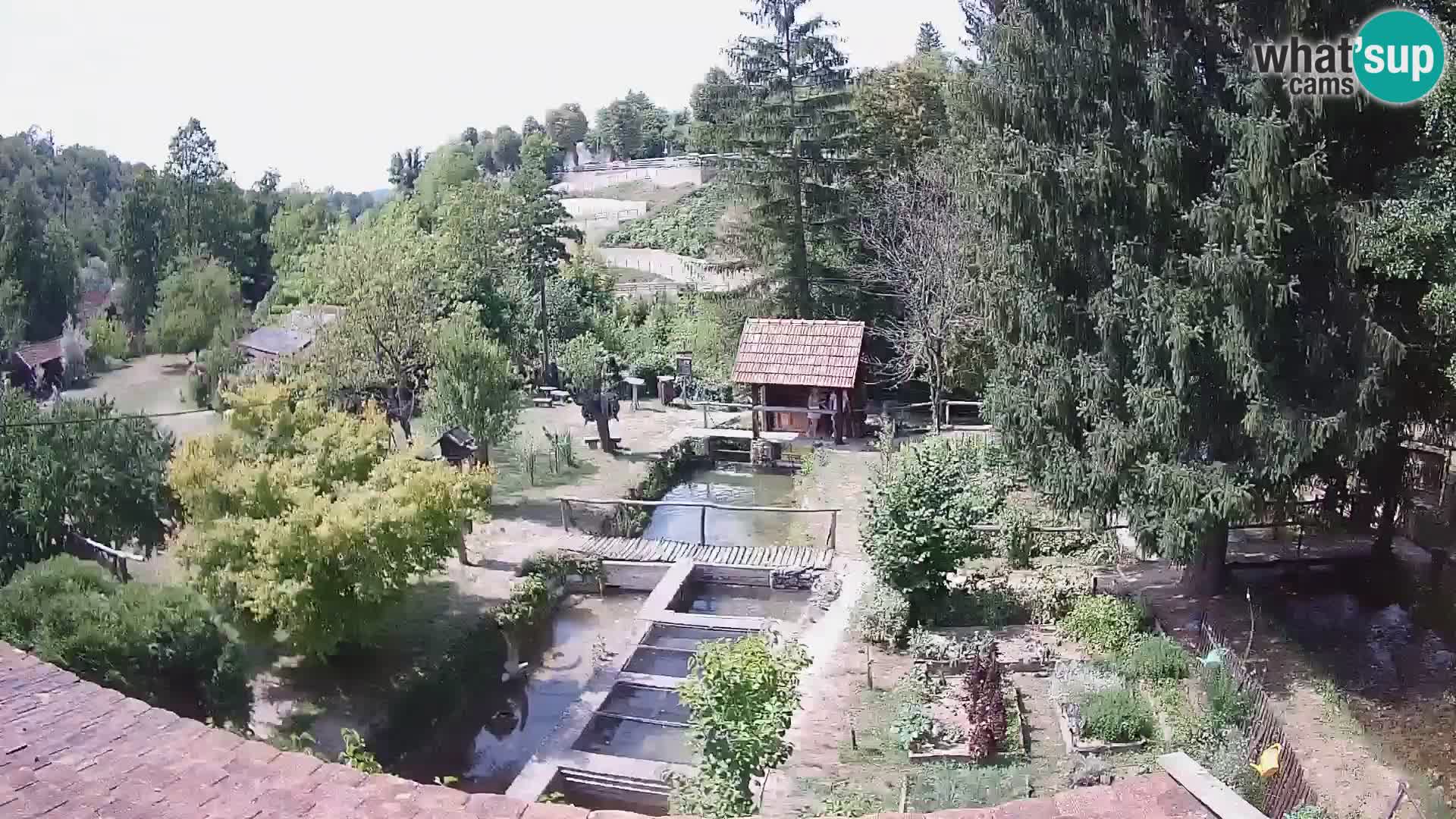 Live-Webcam Rastoke – Fluss Slunjčica – Kroatien
