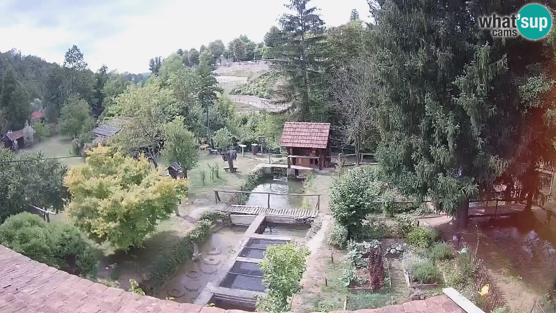 Live-Webcam Rastoke – Fluss Slunjčica – Kroatien