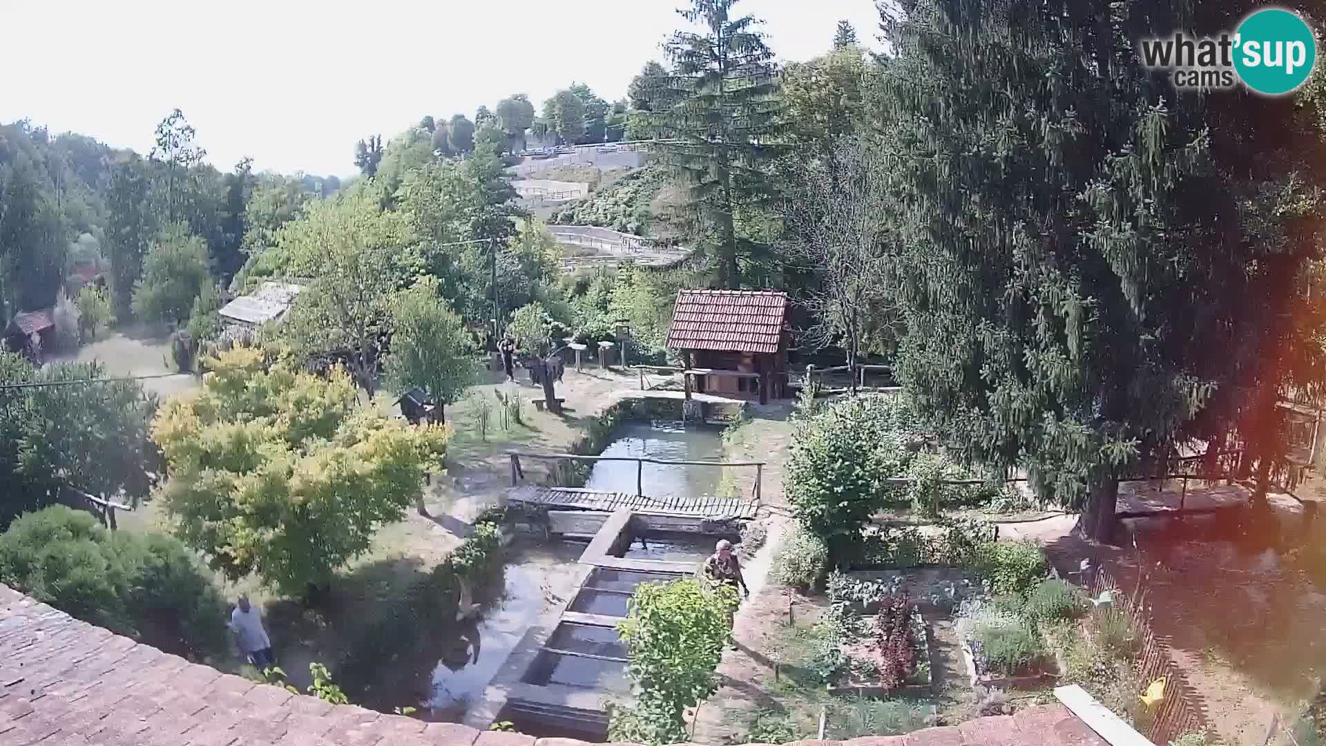 Webcam en direct Rastoke – rivière Slunjčica – Croatie