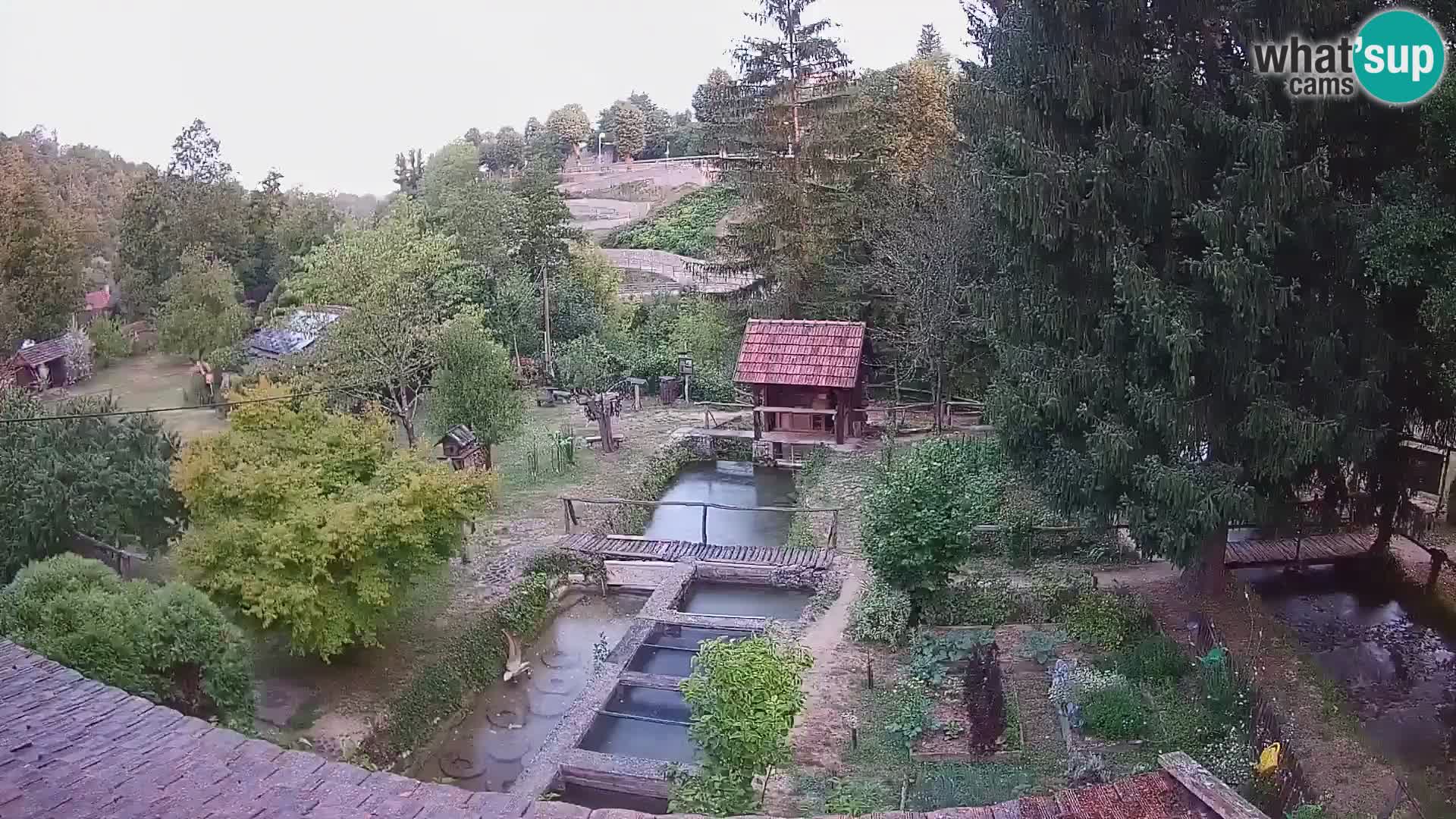 Spletna kamera v živo Rastoke – reka Slunjčica – Hrvaška