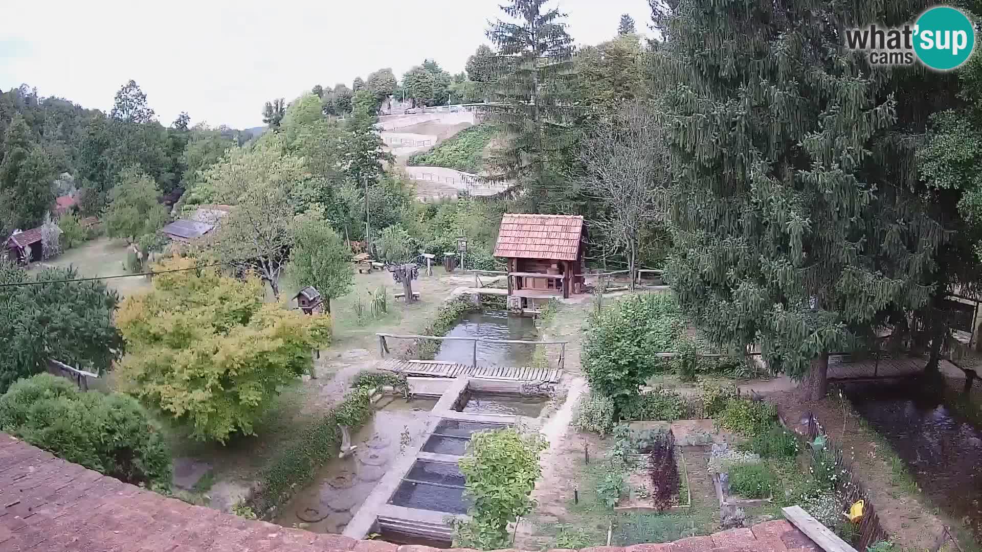 Live webcam Rastoke – fiume Slunjčica – Croazia