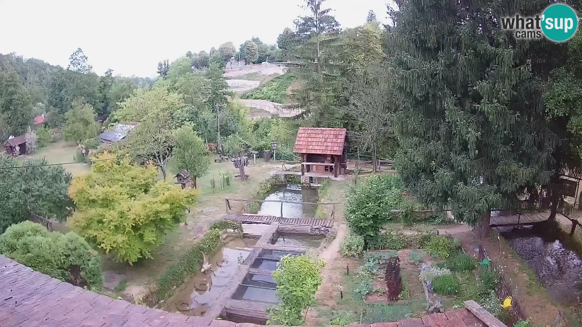 Cámara web en vivo Rastoke – río Slunjčica – Croacia