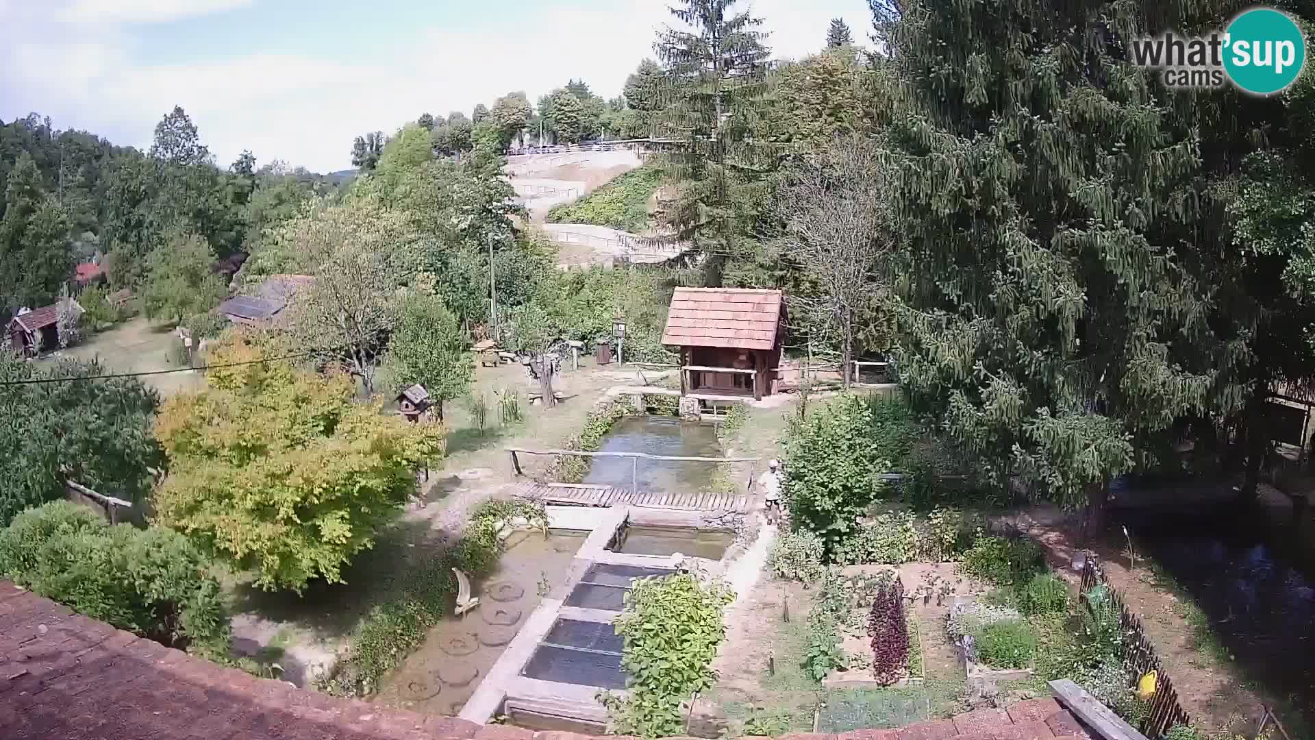 Live webcam Rastoke – river Slunjčica – Croatia