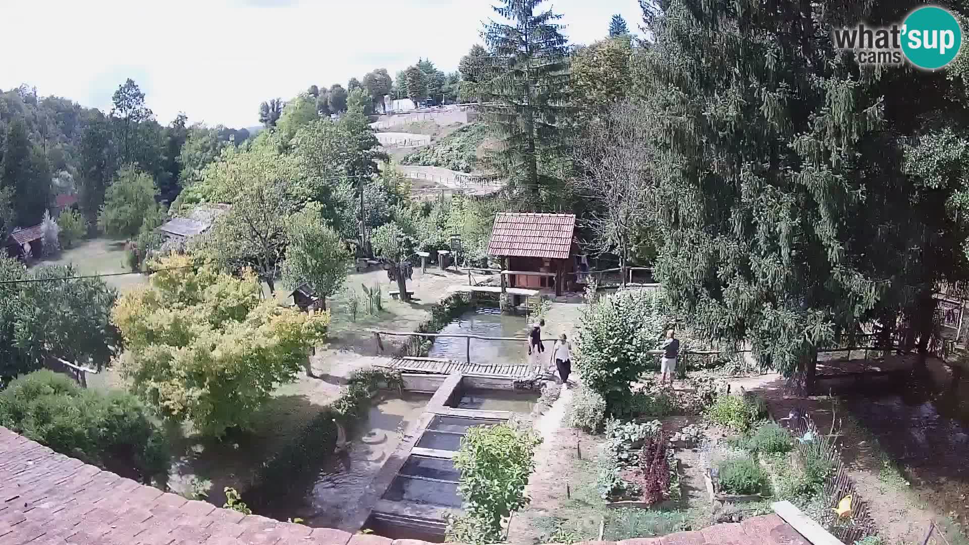 Webcam en direct Rastoke – rivière Slunjčica – Croatie
