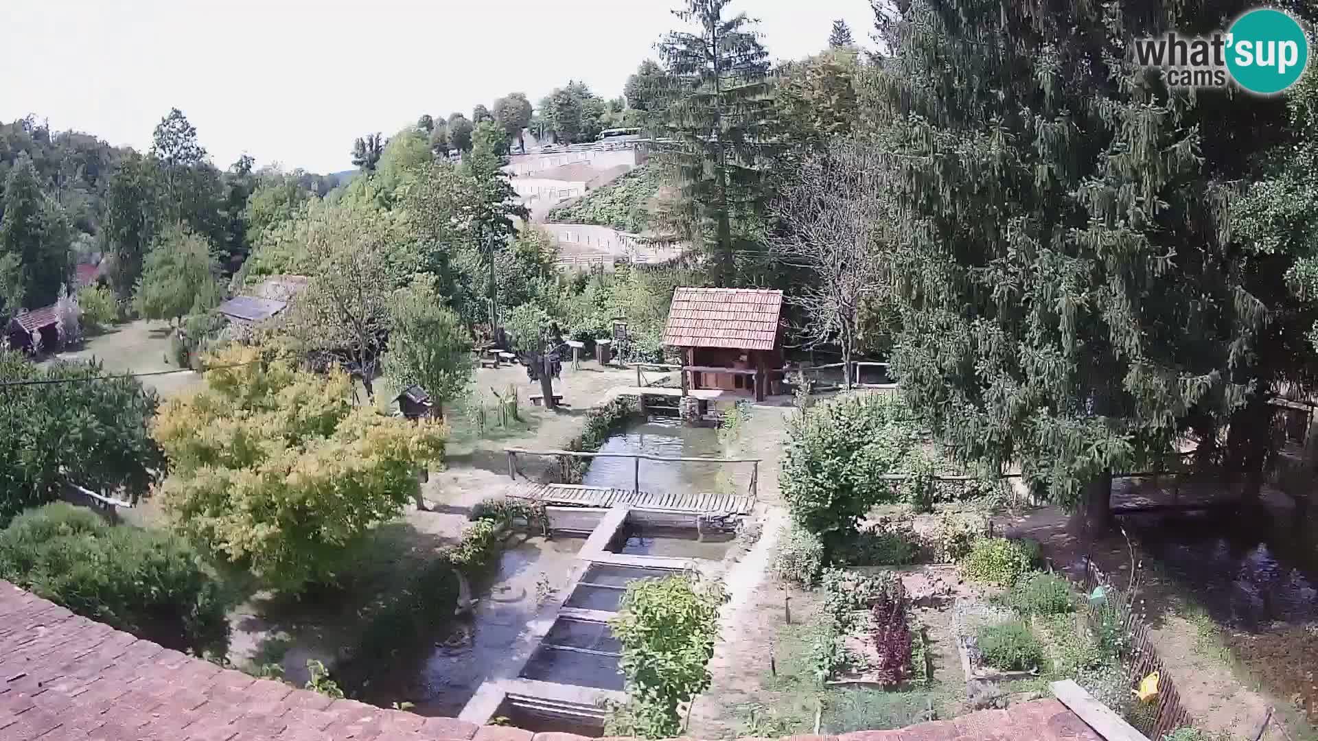 Webcam en direct Rastoke – rivière Slunjčica – Croatie