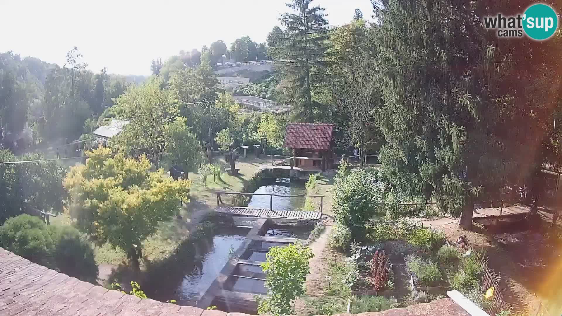 Spletna kamera v živo Rastoke – reka Slunjčica – Hrvaška