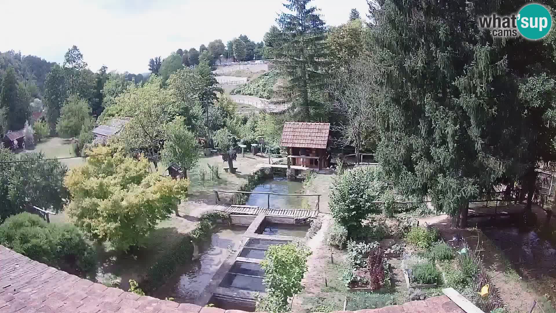Live webcam Rastoke – river Slunjčica – Croatia