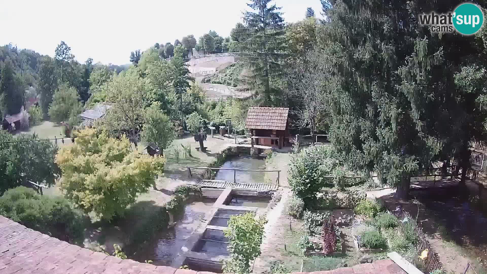 Spletna kamera v živo Rastoke – reka Slunjčica – Hrvaška