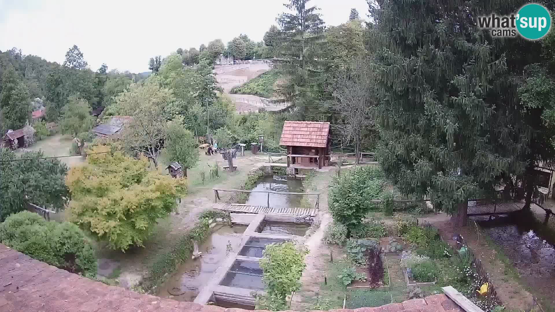 Live webcam Rastoke – river Slunjčica – Croatia
