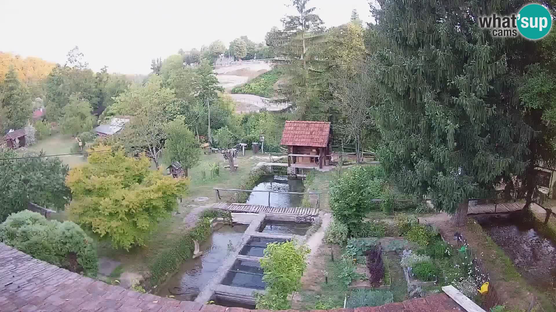 Live-Webcam Rastoke – Fluss Slunjčica – Kroatien